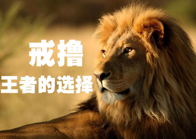 NoFap - Choice of Kings